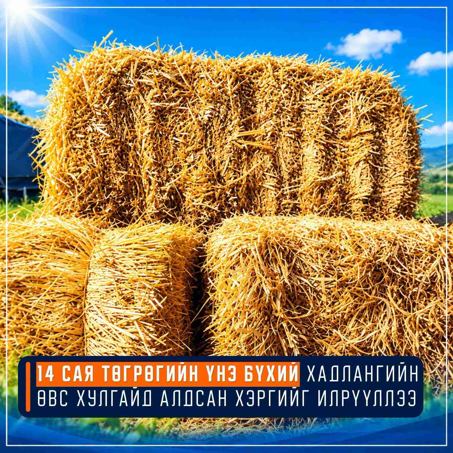 Хадаж, бэлтгэсэн 1,000 боодол өвсийг хулгайлжээ